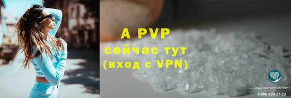 хмурый Горняк