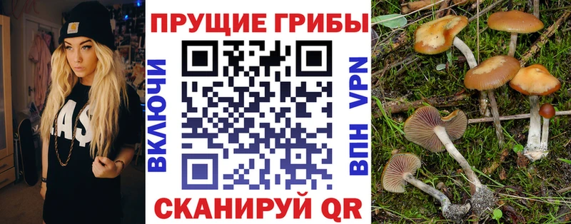 Псилоцибиновые грибы Psilocybe  mega вход  Жирновск  где можно купить наркотик 